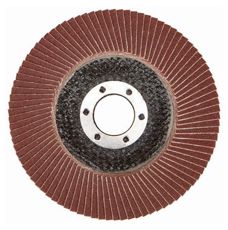 Flap Discs